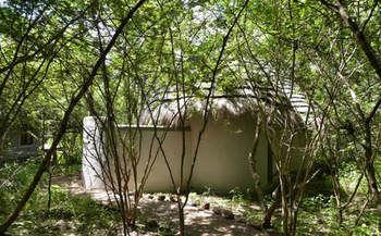 Bakwena Lodge Kasane Bagian luar foto